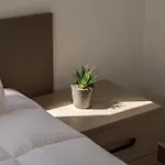 Sevis Ayia Napa